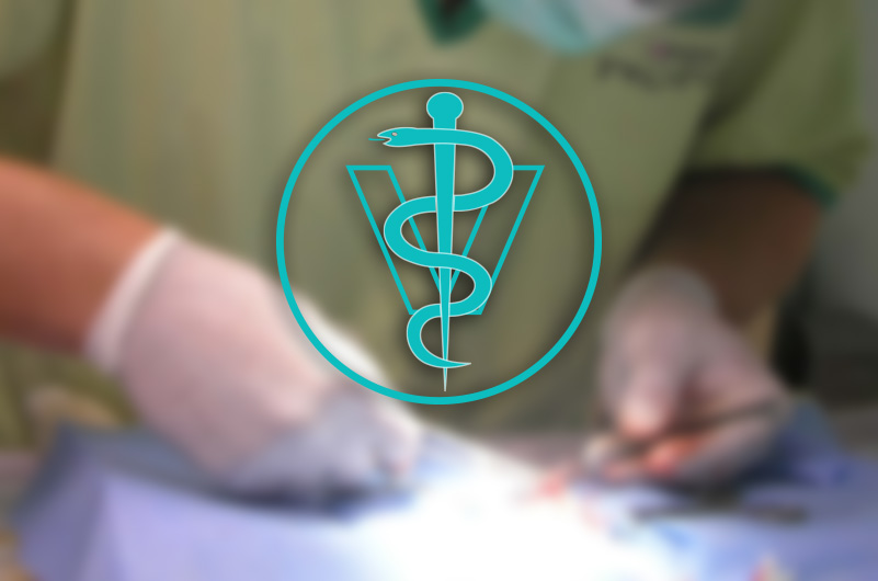 AB-VET Piešťany - veterinárna ambulancia