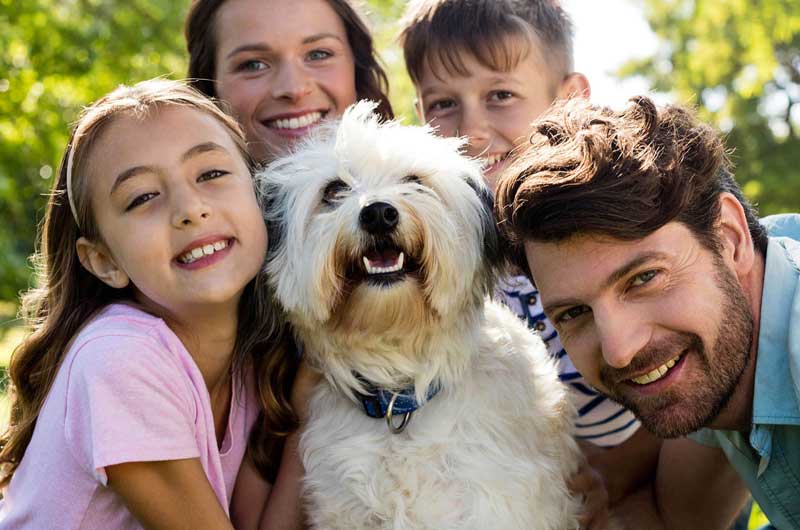 AB-VET Piešťany - veterinárna ambulancia
